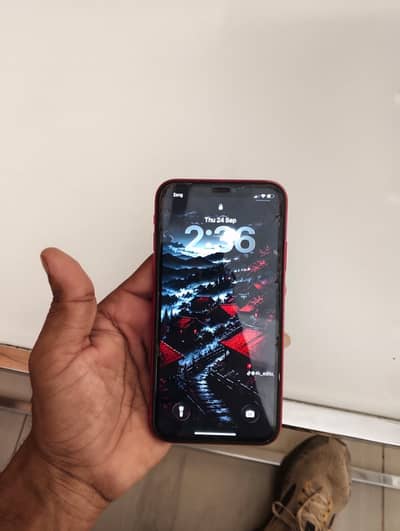 Apple iPhone 11