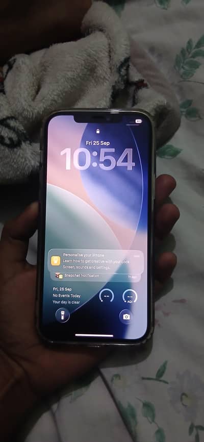 Apple iPhone 12 Pro Max