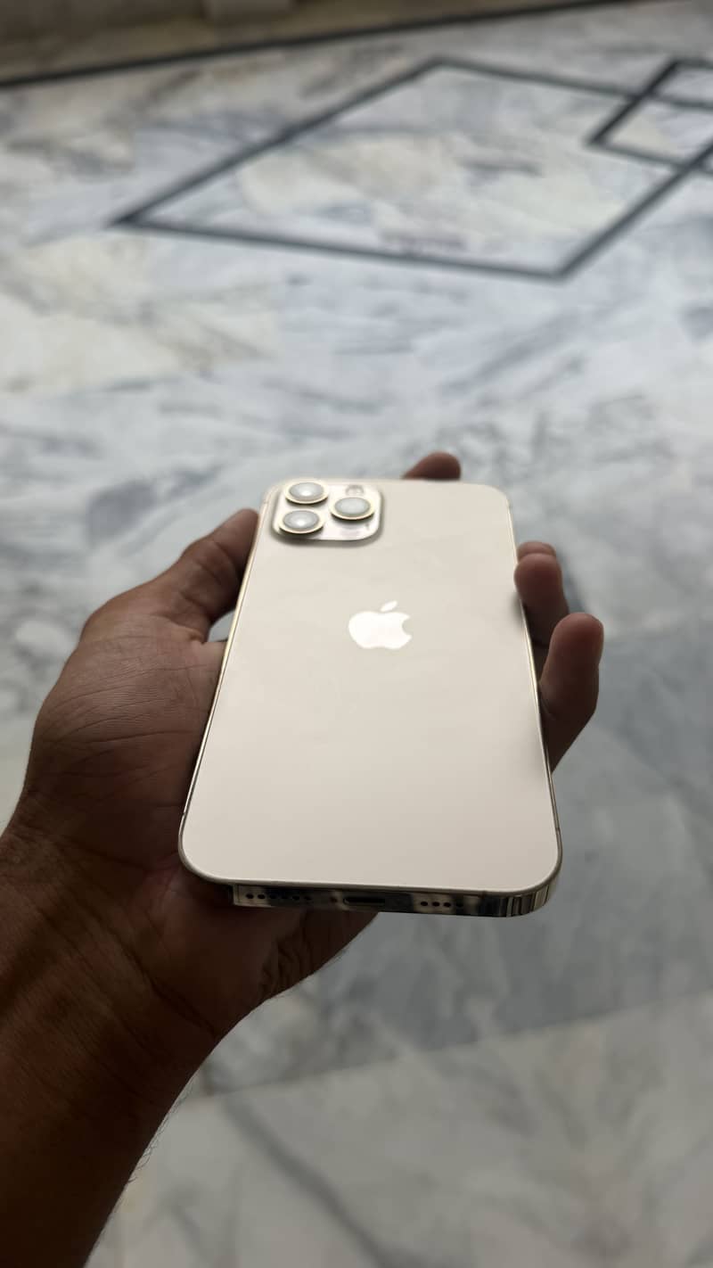 Apple iPhone 12 Pro Max 1