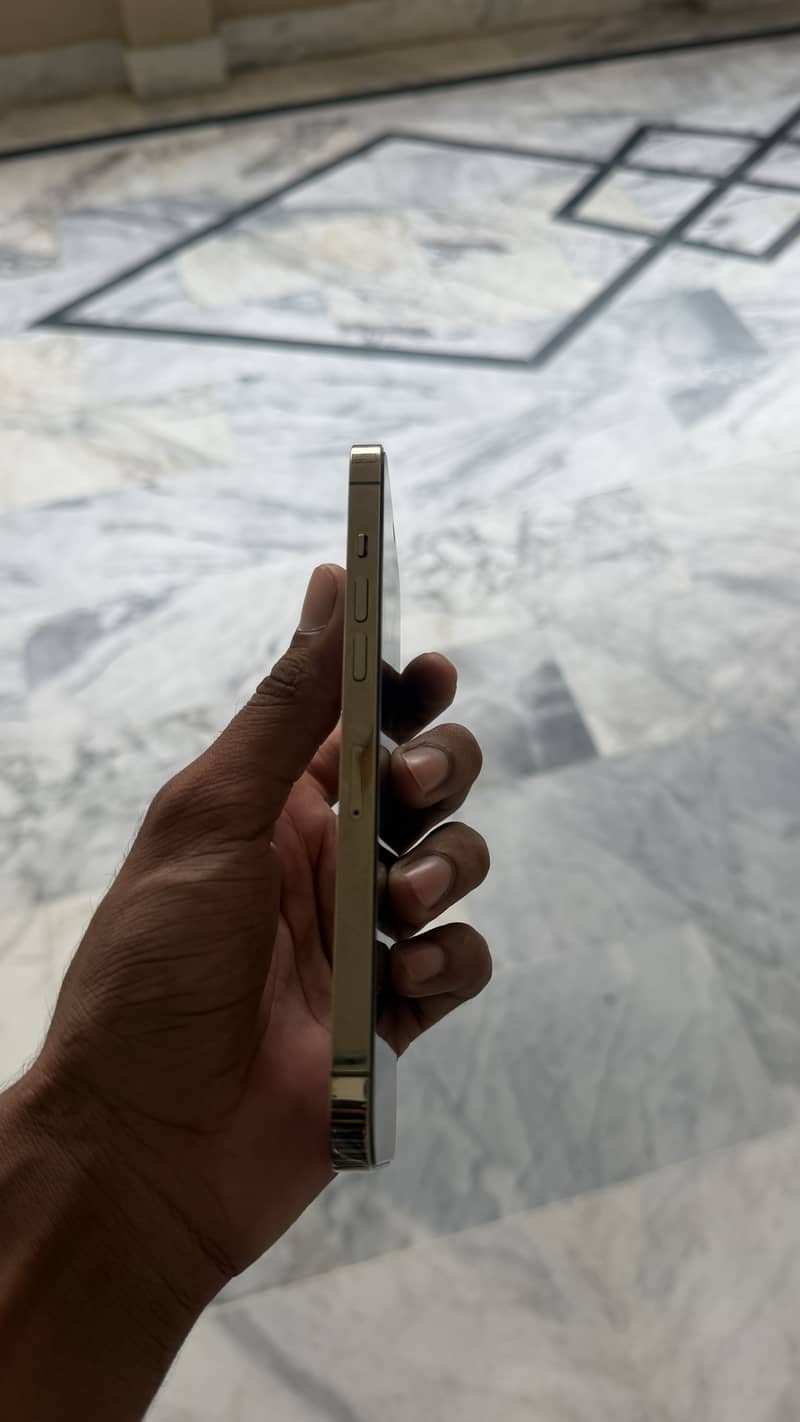 Apple iPhone 12 Pro Max 3
