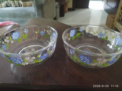 printed Glass bowls