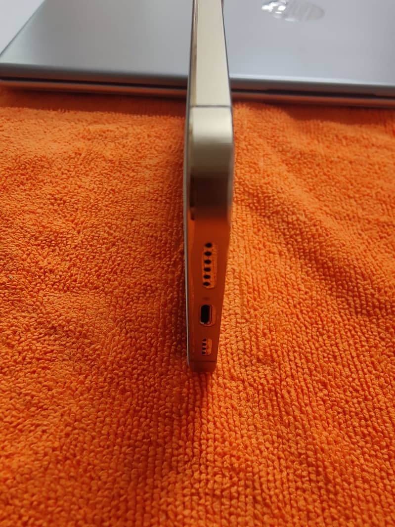 Apple iPhone 12 Pro Max 1