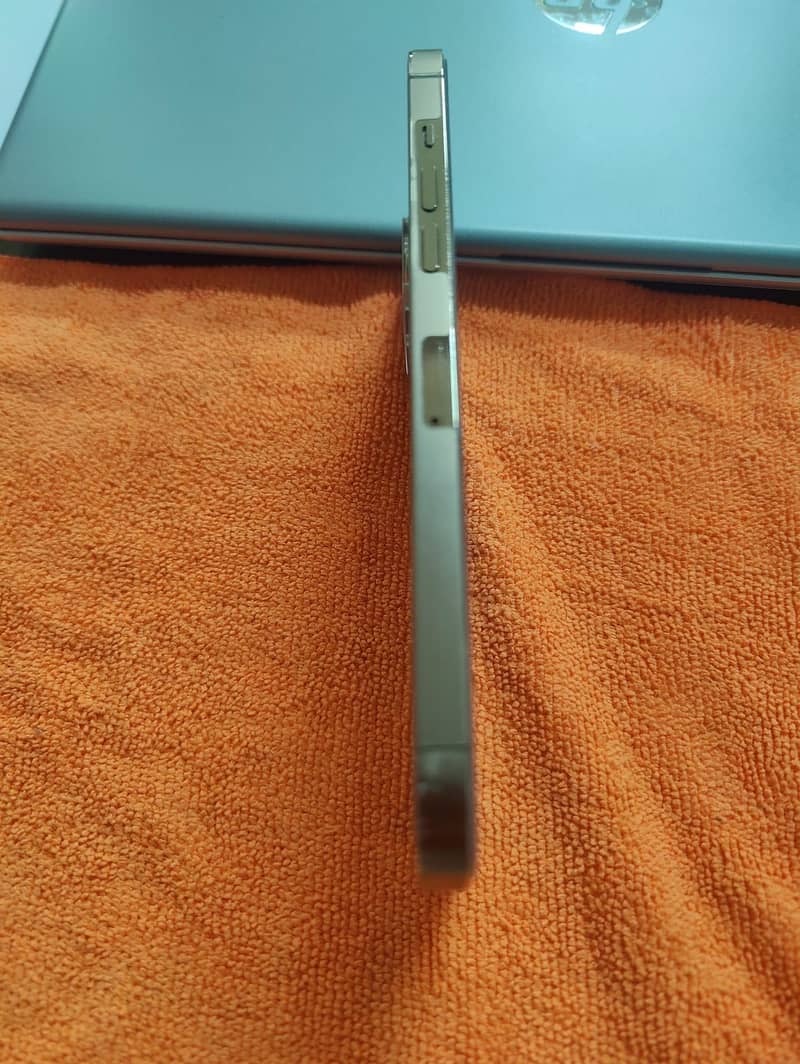 Apple iPhone 12 Pro Max 2
