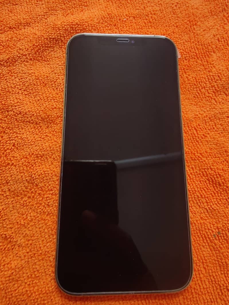 Apple iPhone 12 Pro Max 3