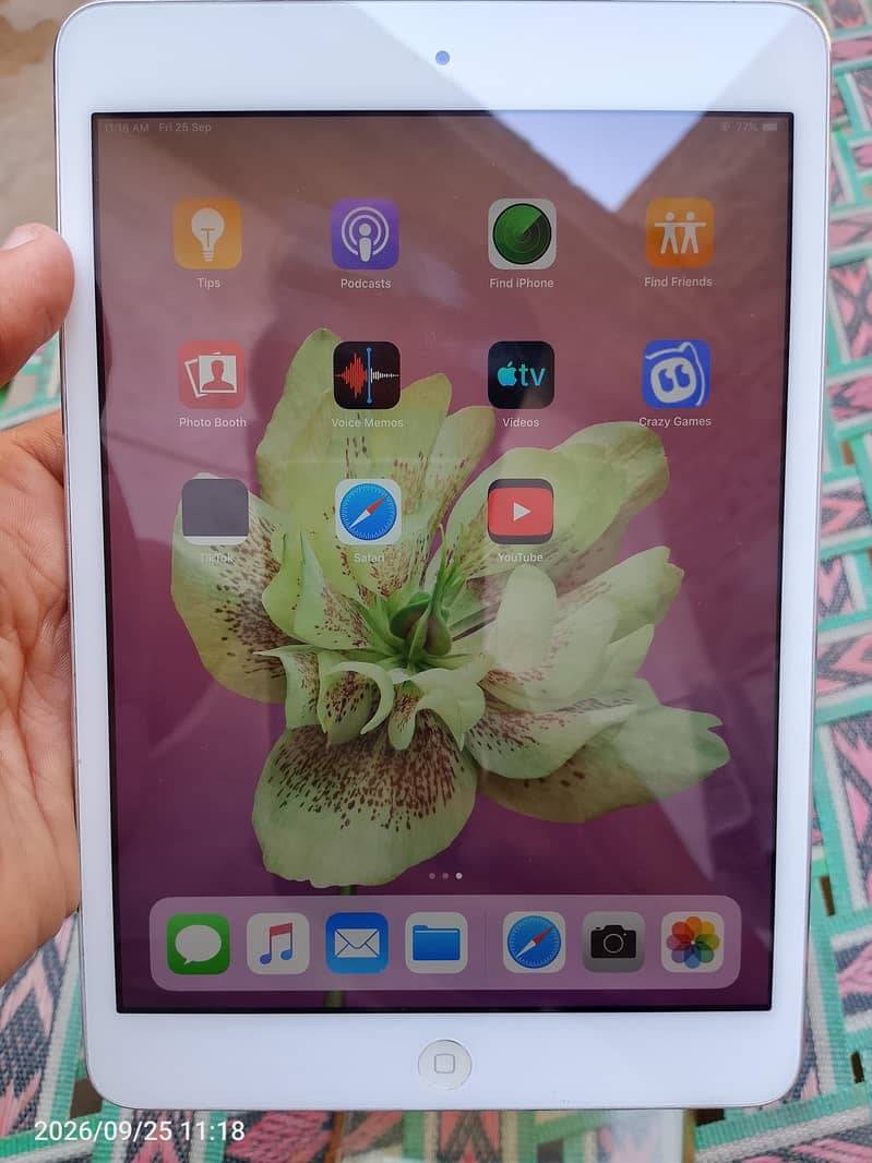 Ipad mini 2 1