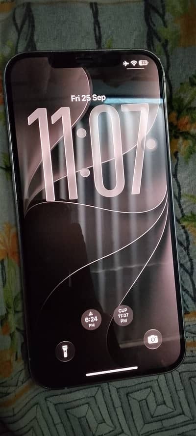 Apple iPhone 12 Pro Max