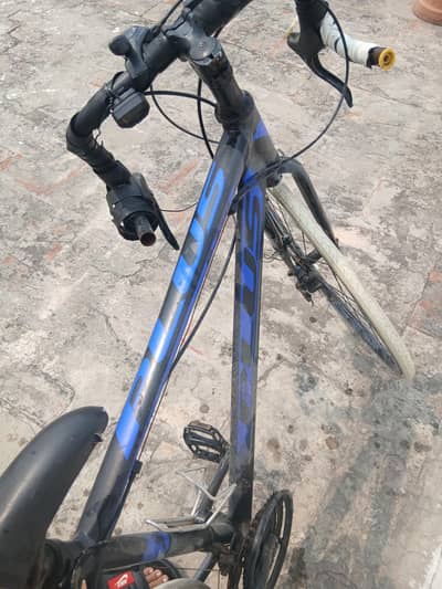 racing cycle
