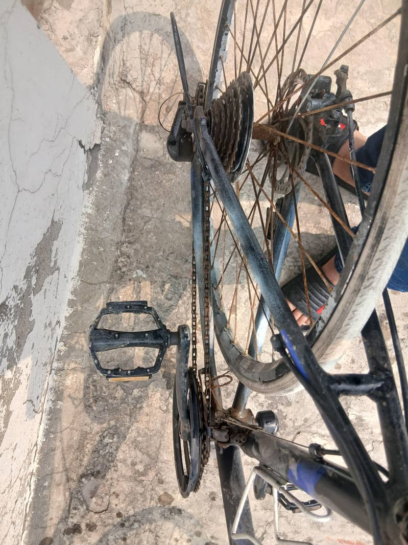 racing cycle 1