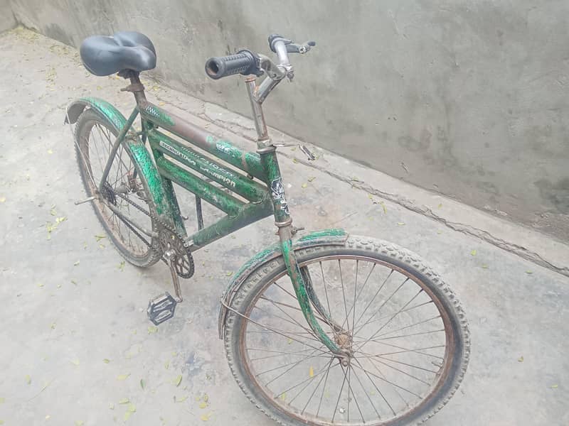china cycle 0