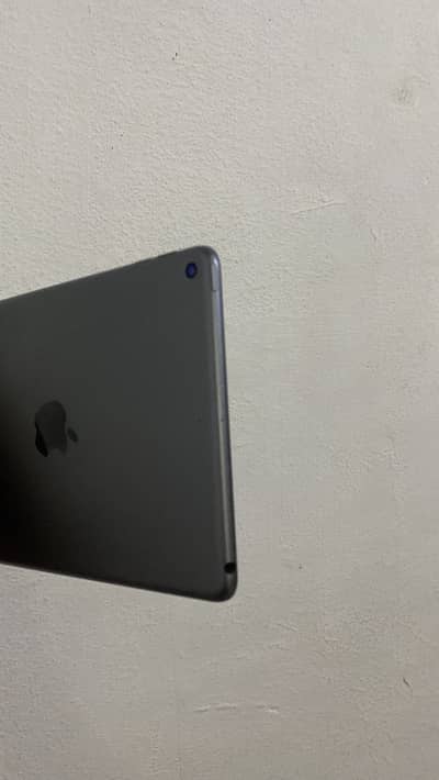 Ipad mini 5 64gb 10/10 all ok best for gaming