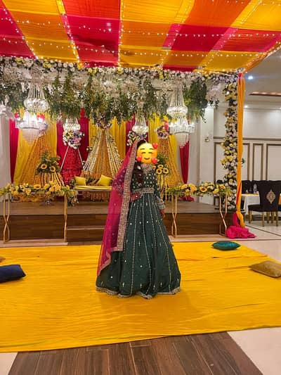 lehnga / mehndi lehnga choli / wedding wear / bridal lehnga sale