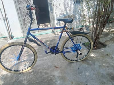willing walii cycle