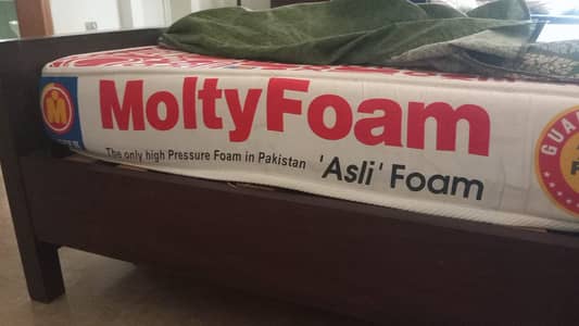 Molty foam