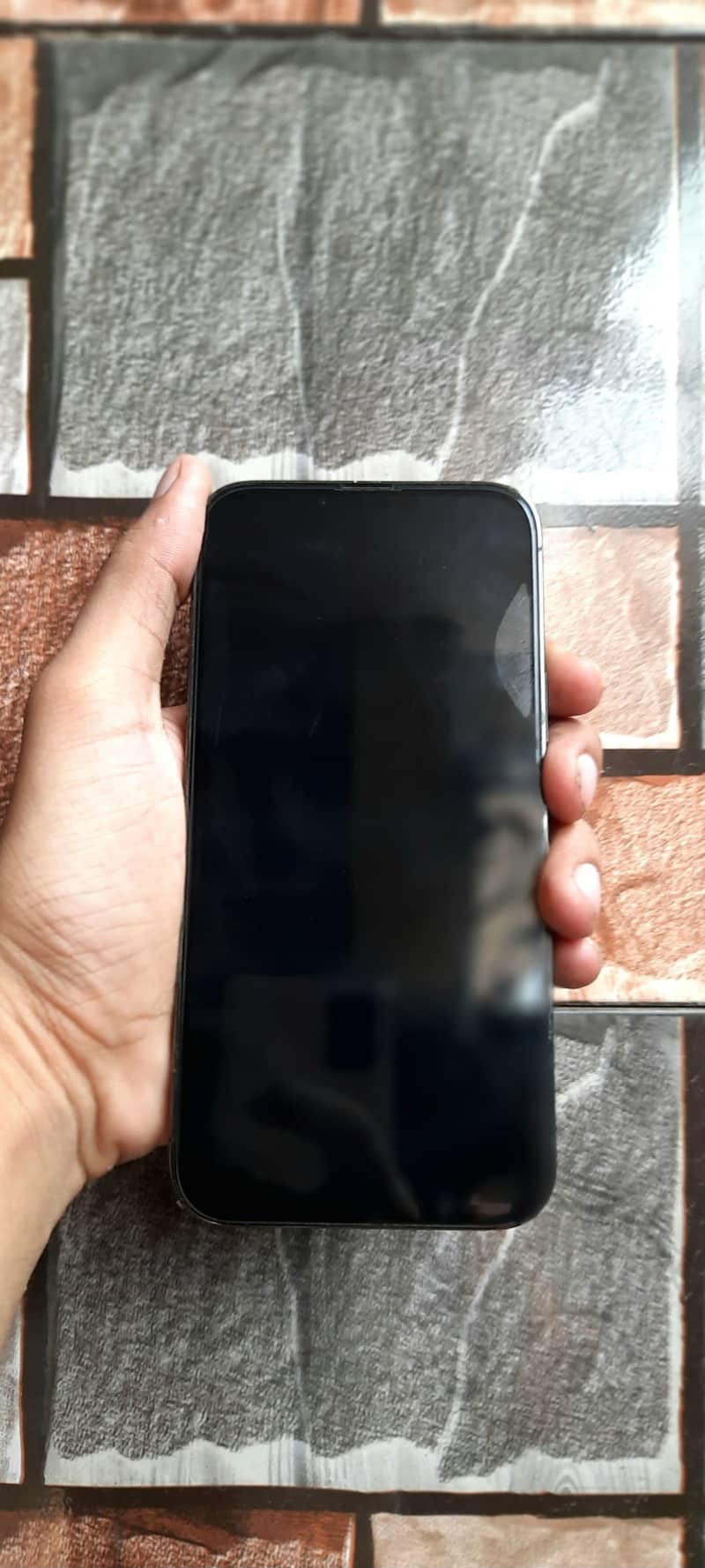 Apple iPhone 13 Pro Max 2