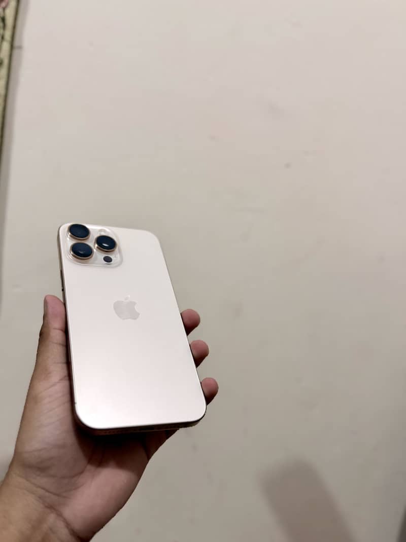 Apple iPhone 16 Pro Max 1