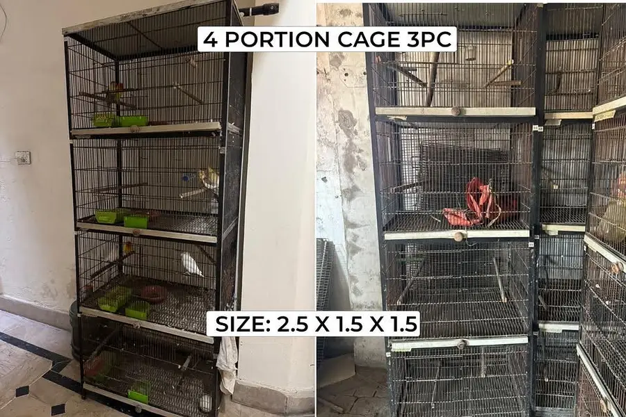 Strong iron cages for birds