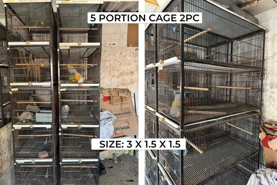 Strong iron cages for birds — photo 2