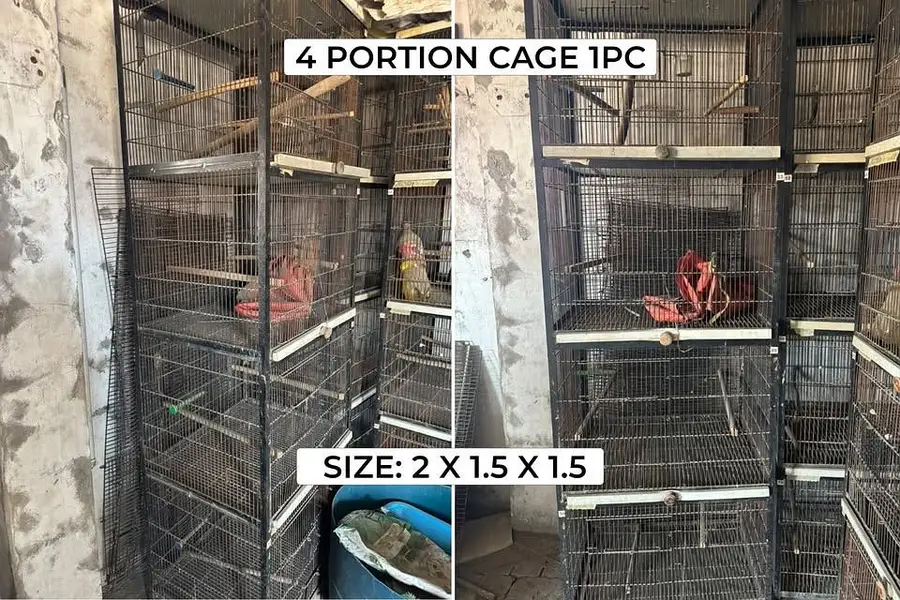Strong iron cages for birds — photo 3