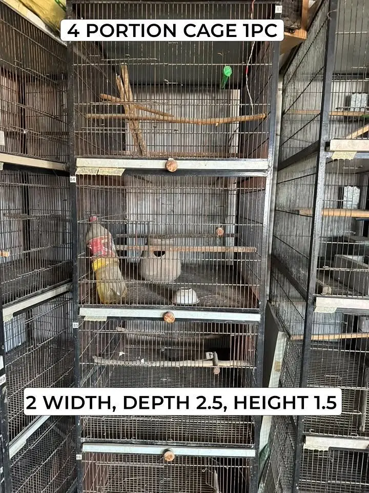 Strong iron cages for birds — photo 4