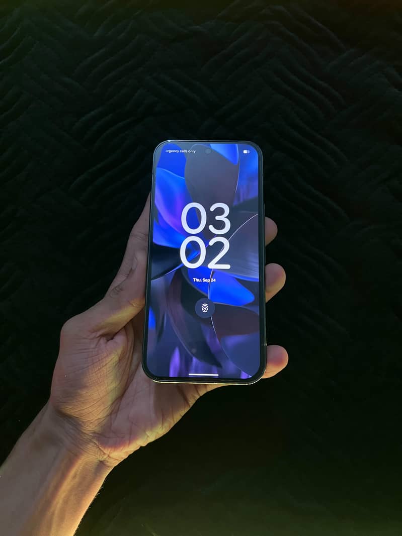 Google Pixel 9 Pro 1
