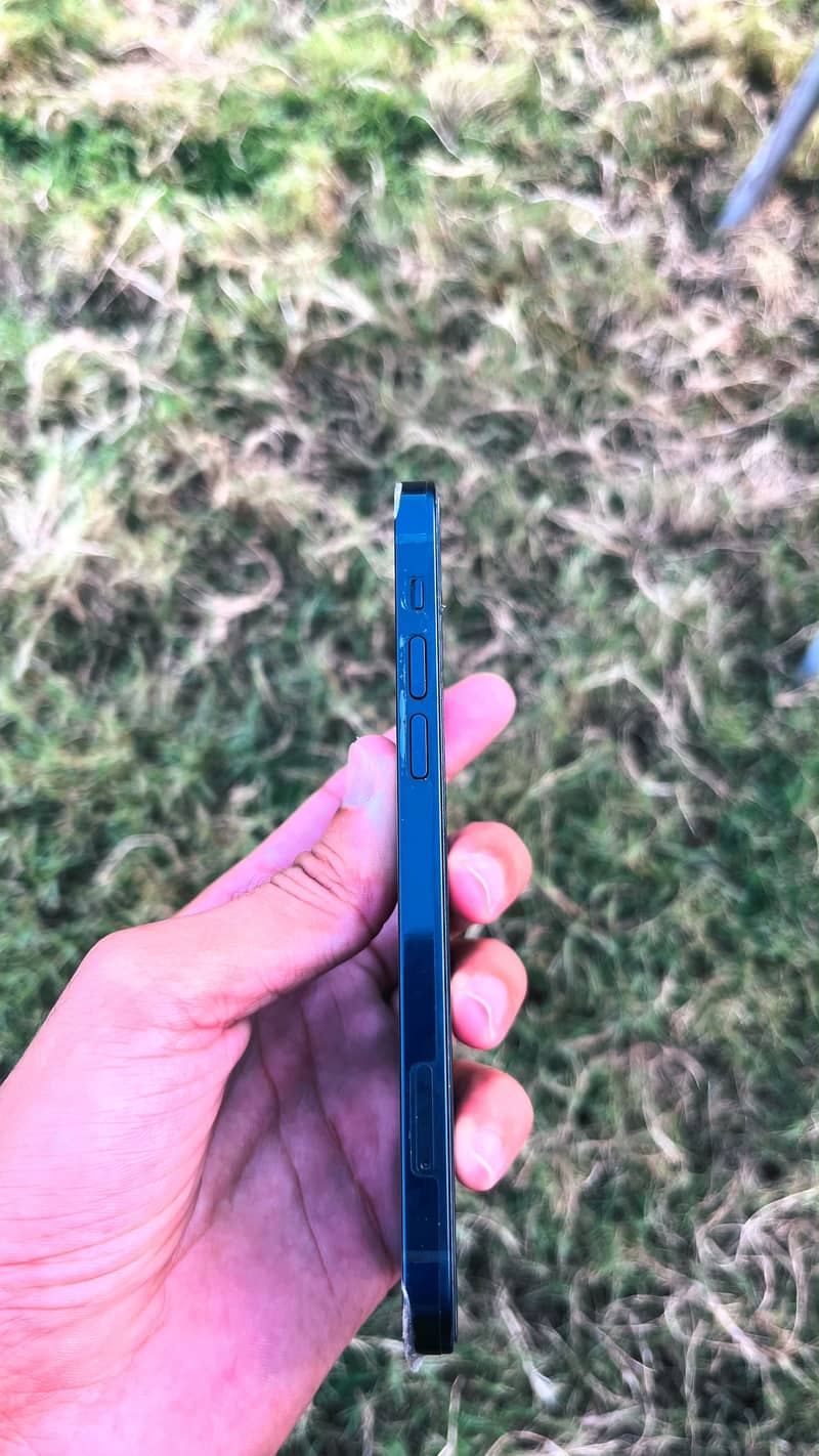 Apple iPhone 12 1