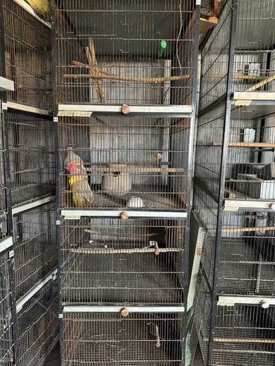 Strong Iron Cages For Birds