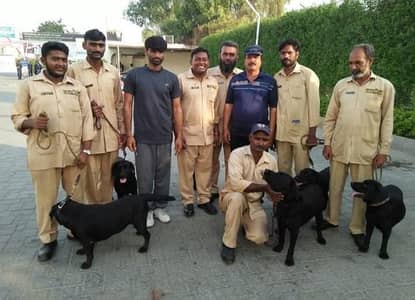 Obedience Dog Training