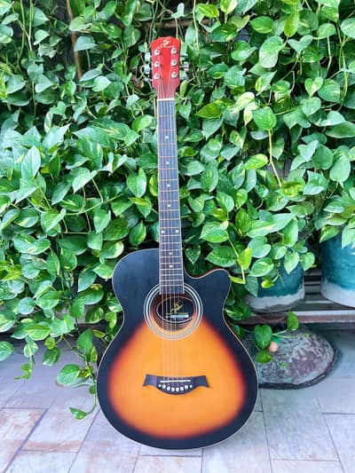 Brand new guitar For Sell