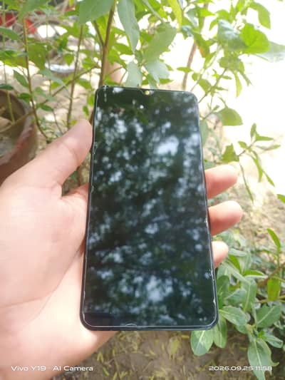 vivo y19 panel, display, screen