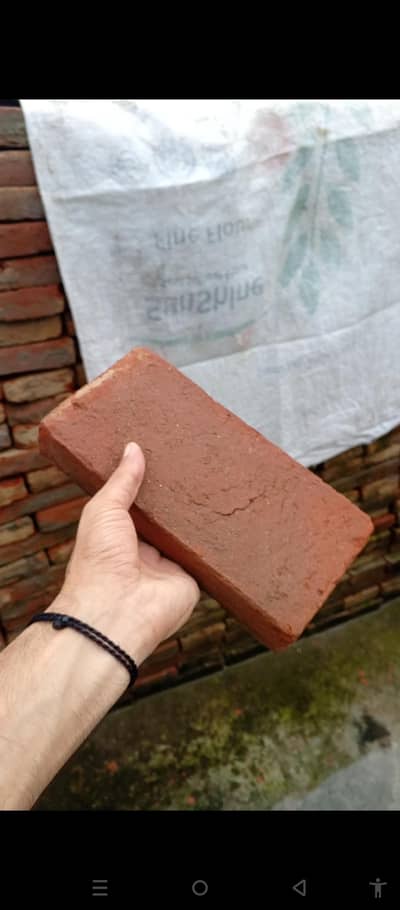2000 Lenter Tiles Available