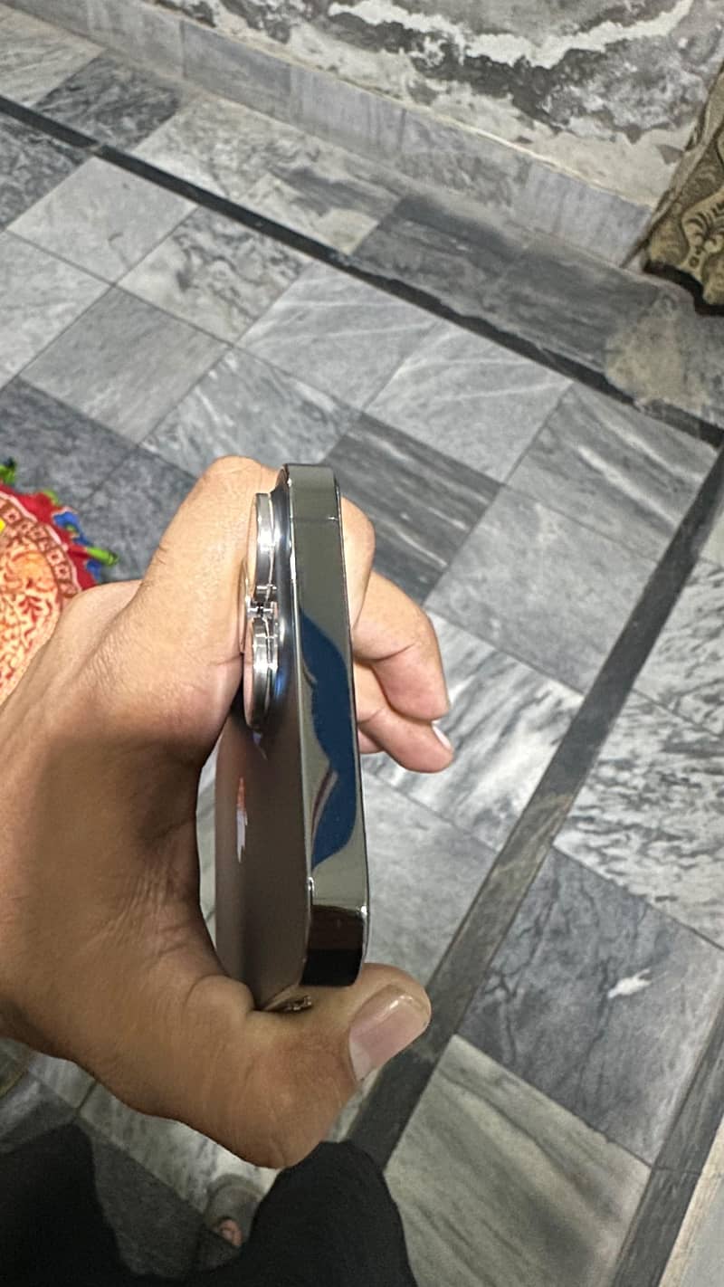 Apple iPhone 13 Pro Max 1