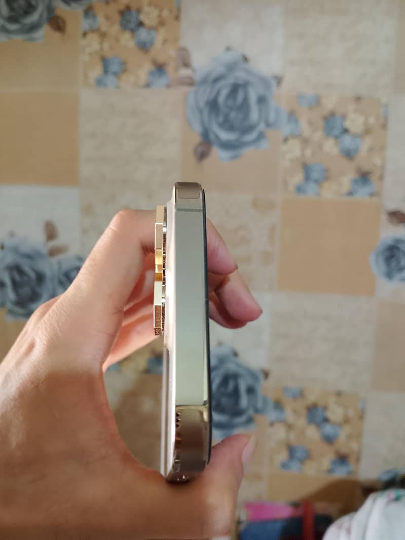 Apple iPhone 14 Pro Max 2