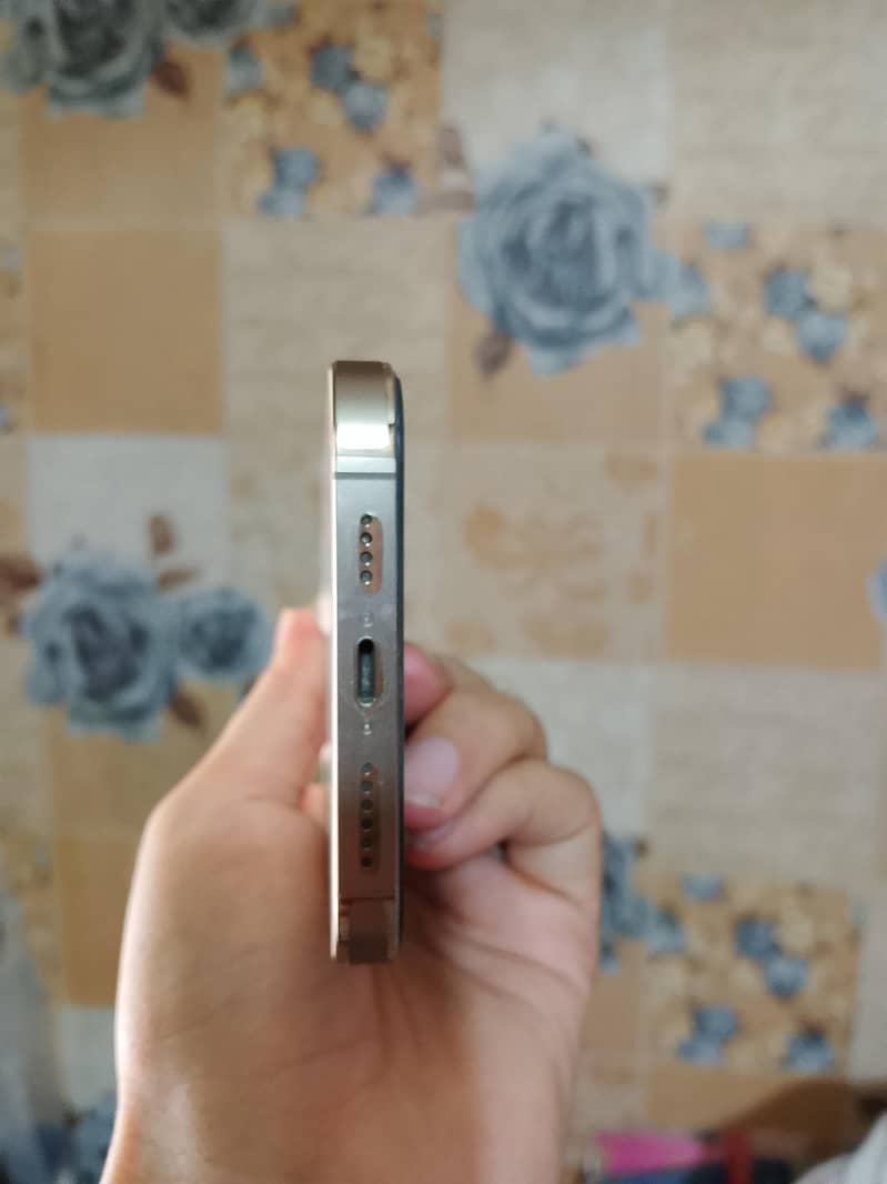 Apple iPhone 14 Pro Max 3