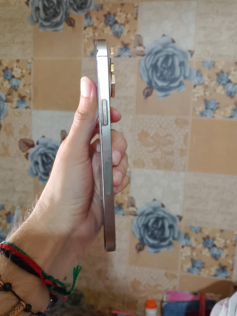 Apple iPhone 14 Pro Max 4