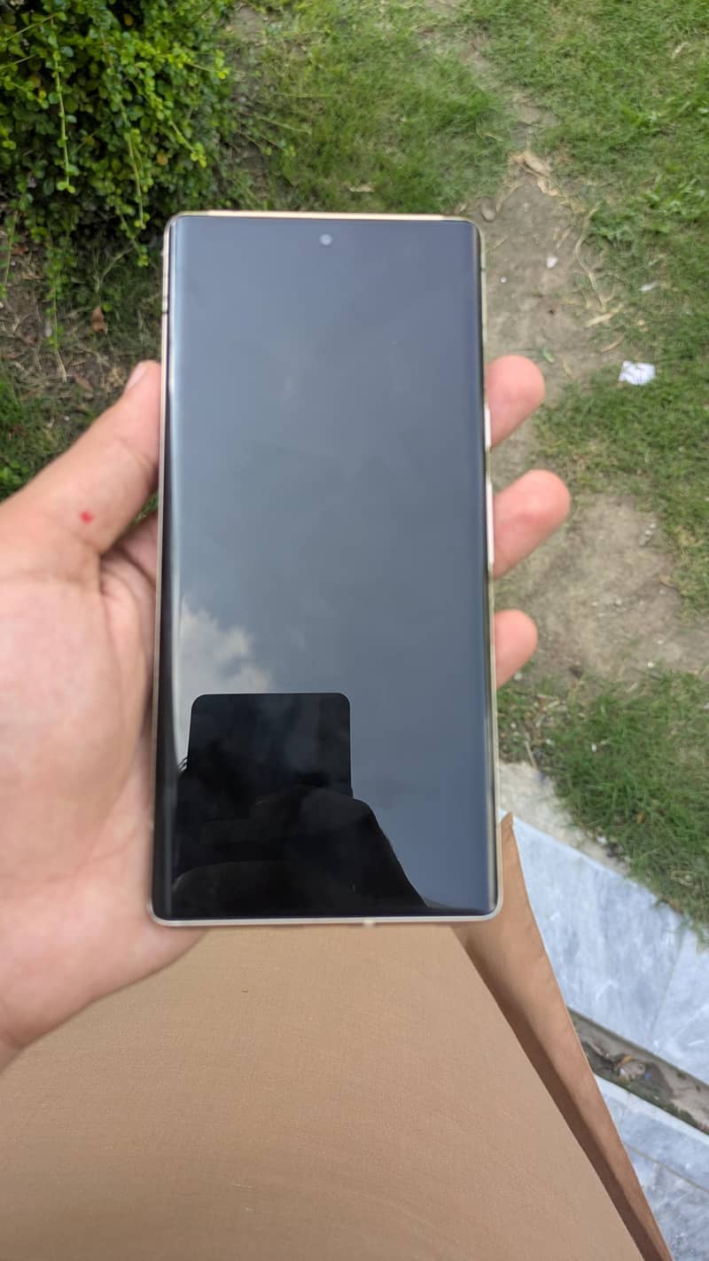 Google Pixel 6 Pro 1