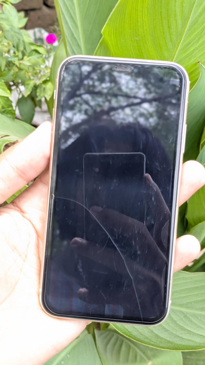 Apple iPhone 11 0