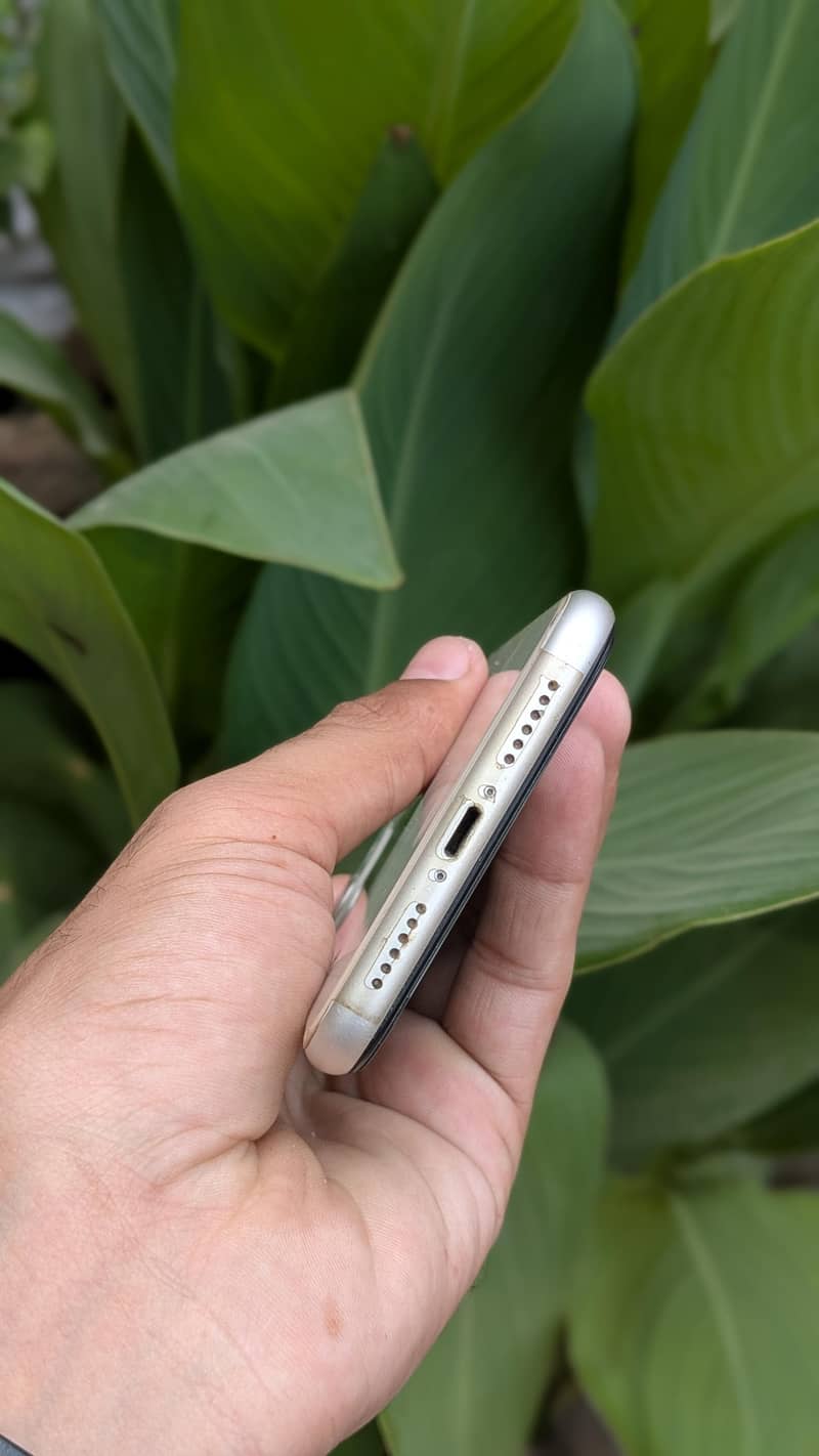 Apple iPhone 11 3