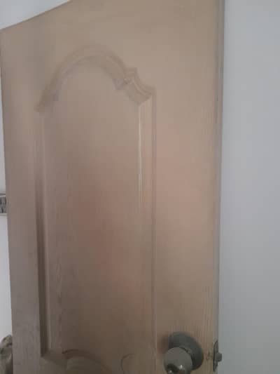 Doors  with net door