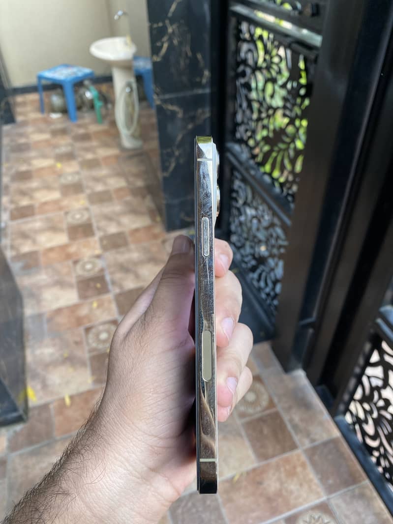 Apple iPhone 13 Pro Max 0
