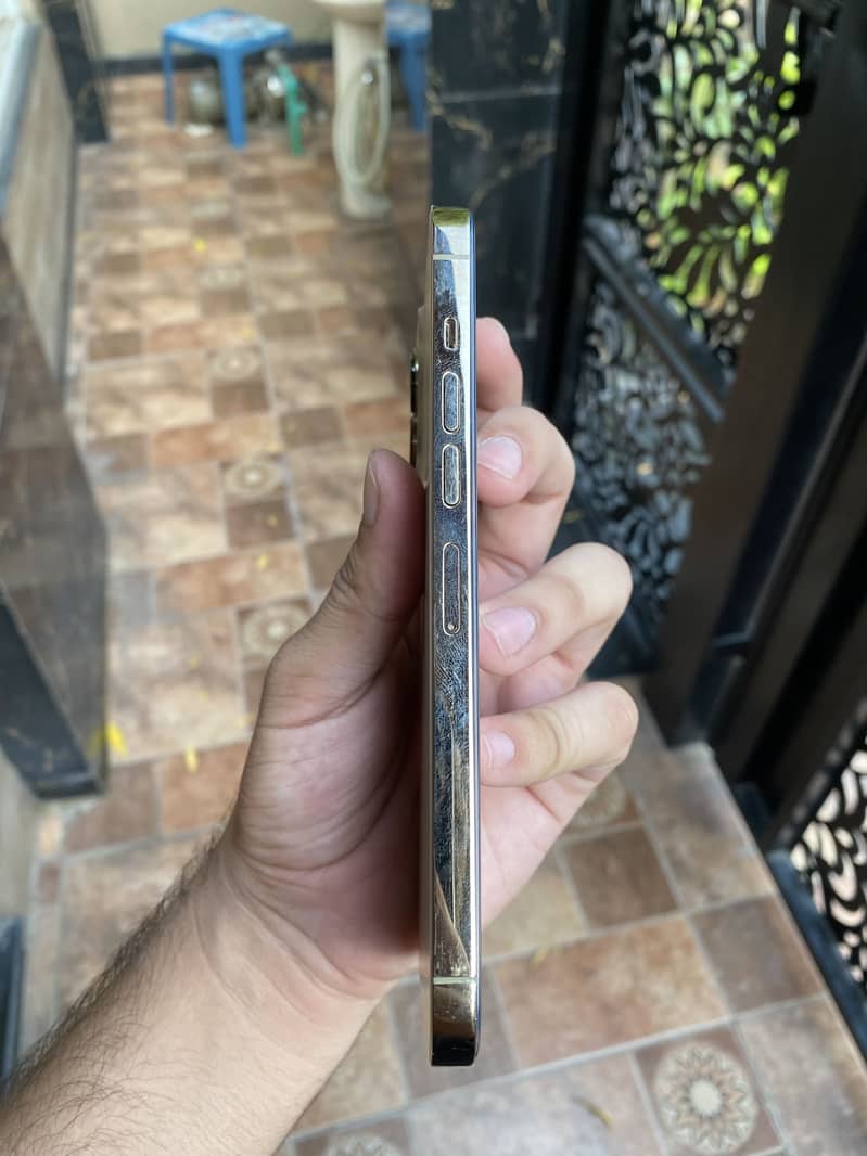 Apple iPhone 13 Pro Max 1