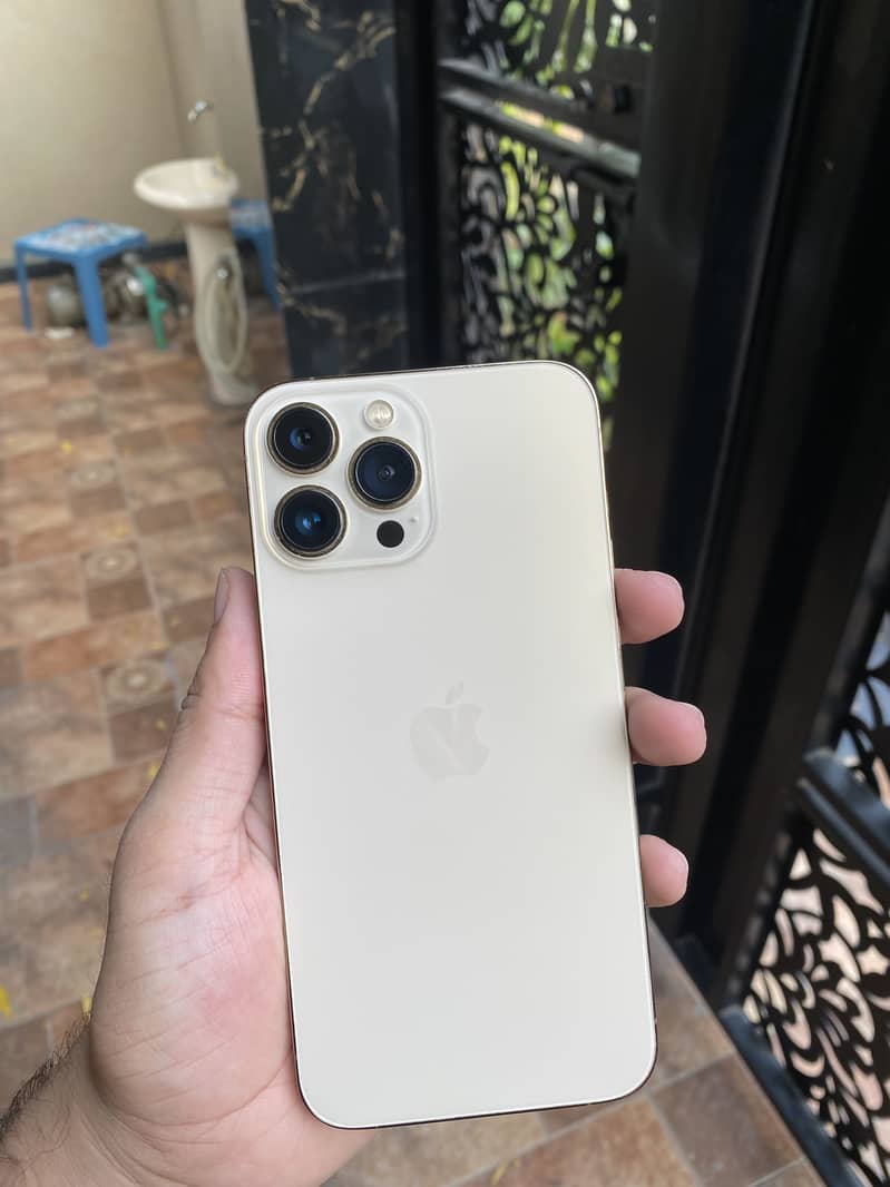 Apple iPhone 13 Pro Max 6