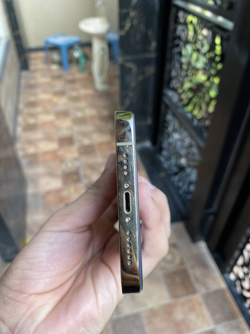 Apple iPhone 13 Pro Max 7