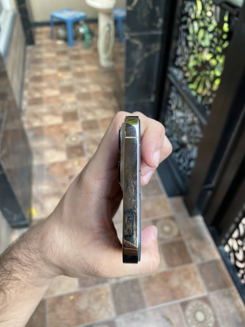 Apple iPhone 13 Pro Max 8