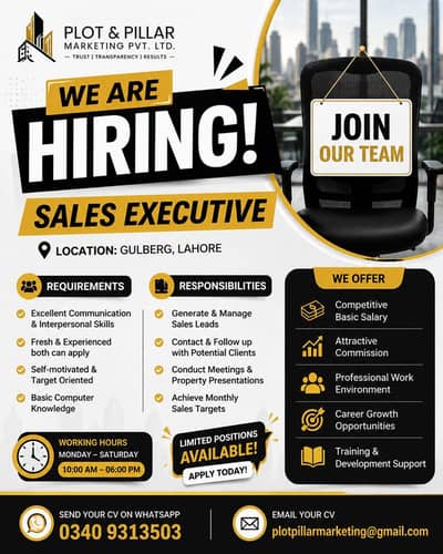 Female Sales Executive