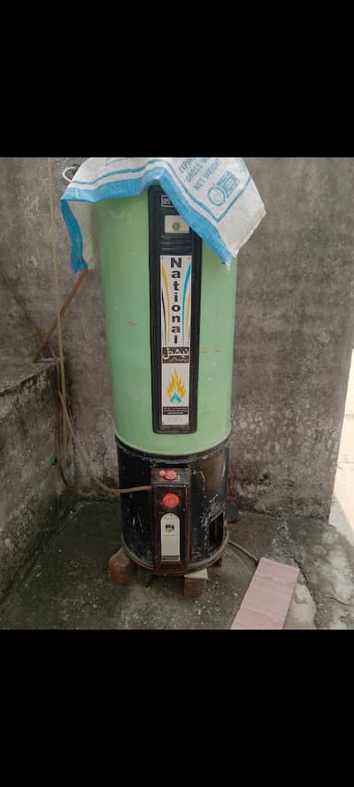 geyser for sale full size