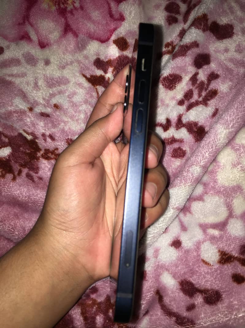 Apple iPhone 12 2
