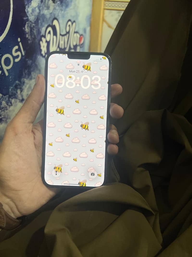Apple iPhone 13 Pro Max 2