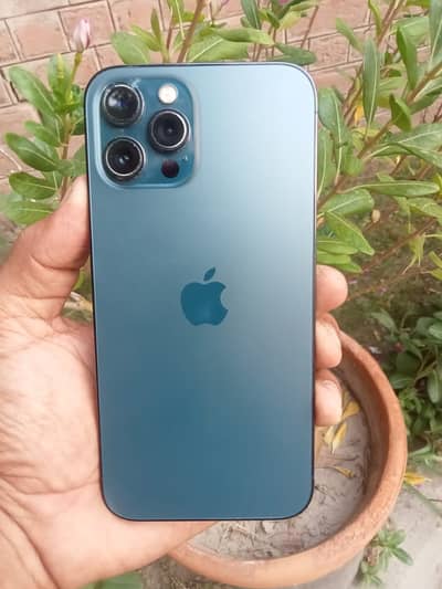 iPhone 12 Pro Max PTA