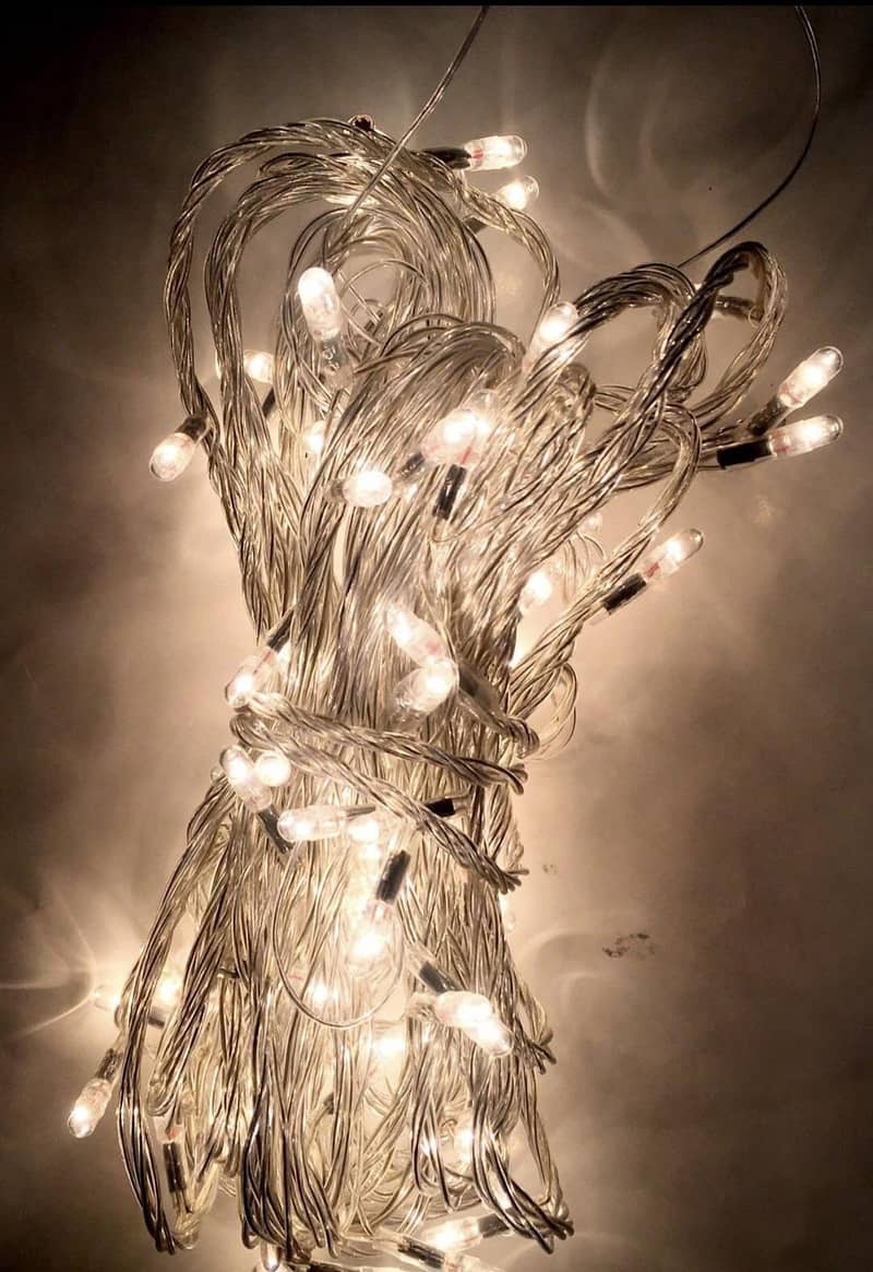 Fairy String Lights 2