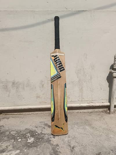Puma Evo Speed hardball bat